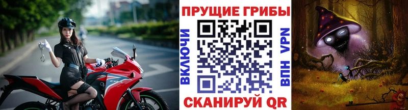 купить закладку  Инза  Галлюциногенные грибы Psilocybine cubensis 